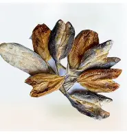 Ikan asin